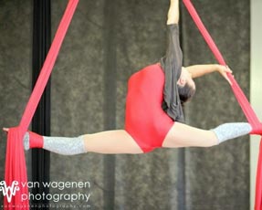 Aerial Performance Master