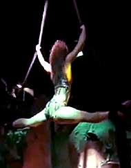 Exciting Aerial Artists