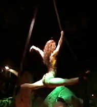 Exciting Aerial Performers