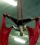 Female Aerialists