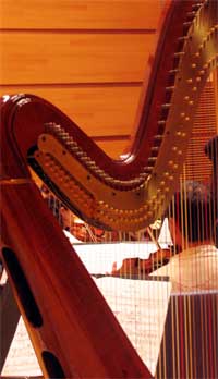 Elizabeth White - Harp