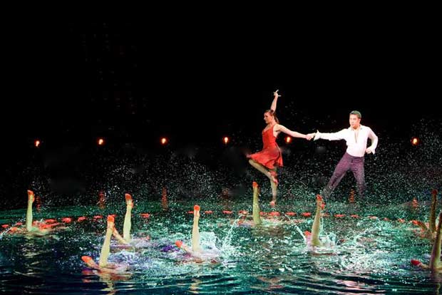 Professional World-Class Dancers