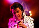 Stars in Concert with Elvis Presley