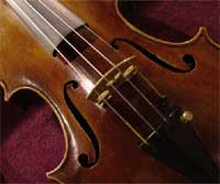 String Quartet - Violin