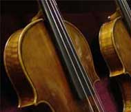 String Quartet - Violins, Viola, and Cello - Live Wedding Music