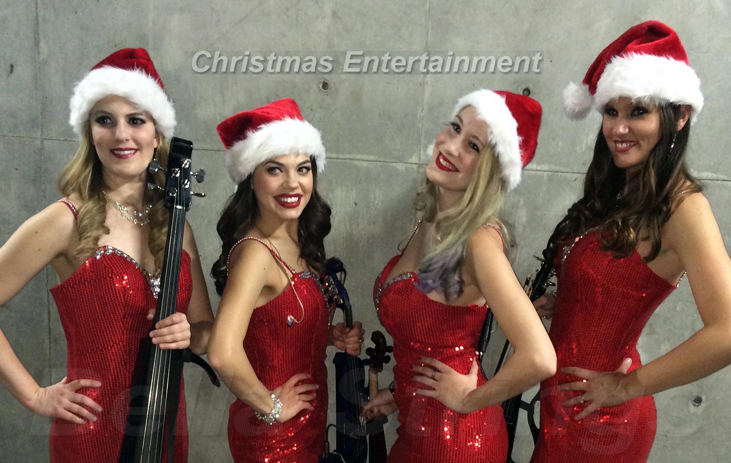 Christmas String Quartet Music Entertainment