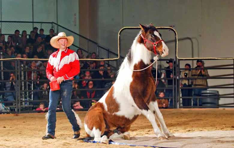 World Champion Cowboy Entertainment