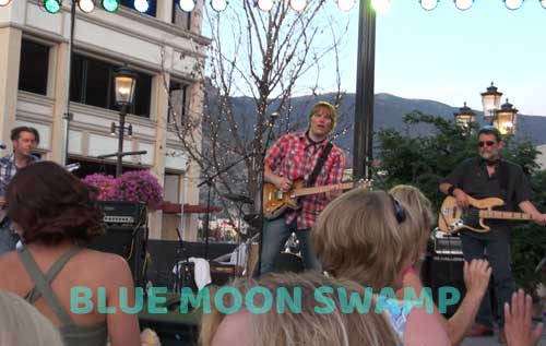 Blue Moon Swamp CCR Tribute Band